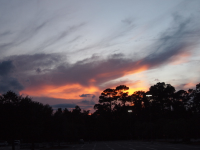 [Through the branches of the pine trees above the rest of the treeline are spots of yellow which reflect off the clouds above the trees as well. To the left of those trees is an irregular shape of orange on the underside of some dark blue clouds. The sky is light blue above that with just a few wispy dark clouds.]